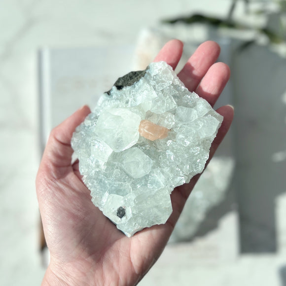 Apophyllite Cluster (AP-028)