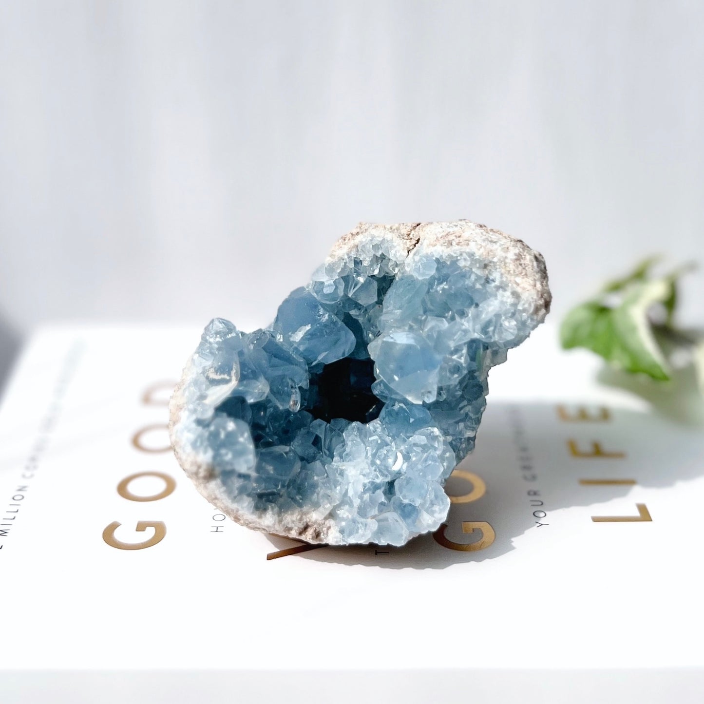 Celestite Cluster 天青石