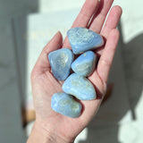 Blue Lace Agate tumble stone (BLA-TS03)