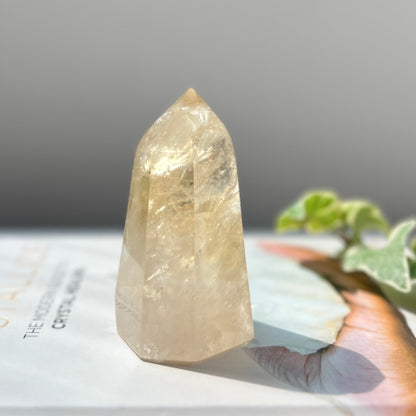 Natural Citrine Point 天然黃水晶