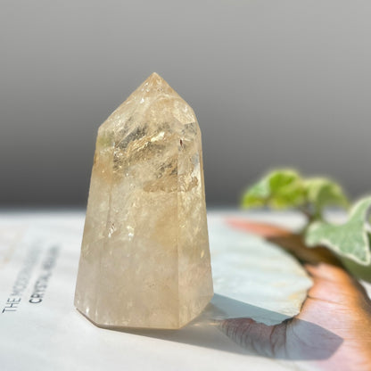 Natural Citrine Point 天然黃水晶