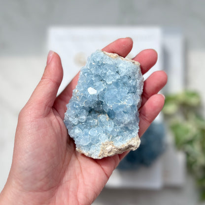 Celestite Cluster 天青石