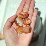 Carnelian Banded Tumble 2-3cm (CA-TS03)