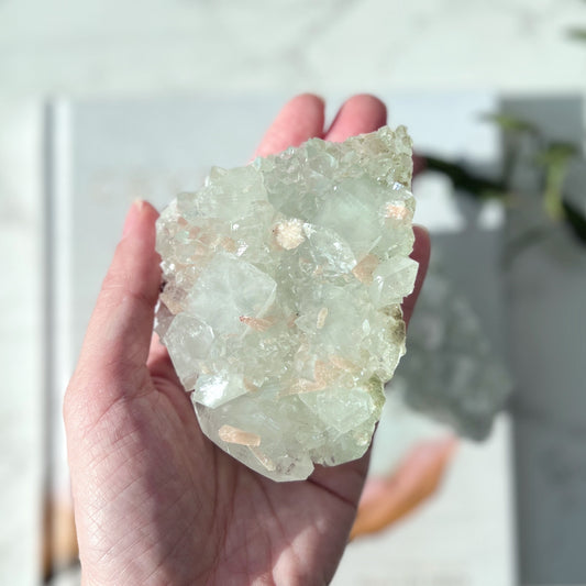 Apophyllite Cluster (AP-024)