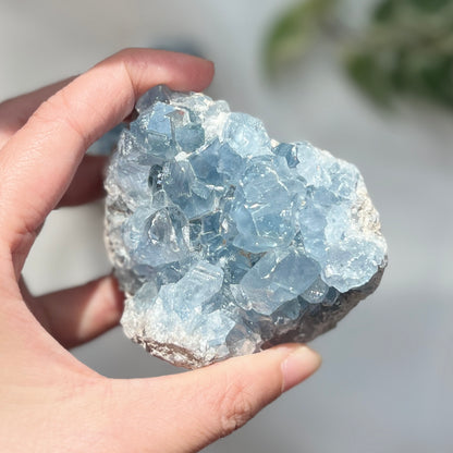 Celestite Cluster