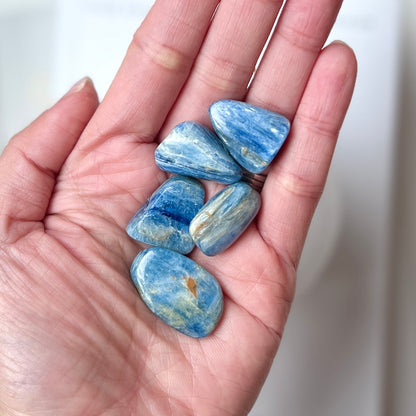 Kyanite Tumble Stone 2-3cm 藍晶石