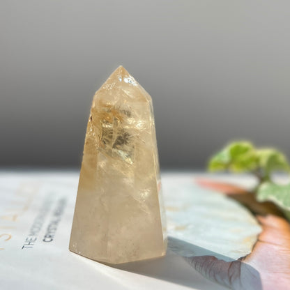 Natural Citrine Point 天然黃水晶