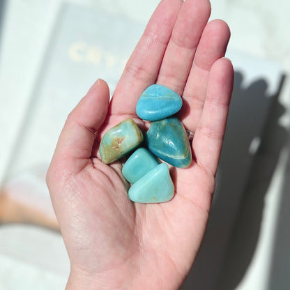 Amazonite Tumble Stone (AZ-TS01)