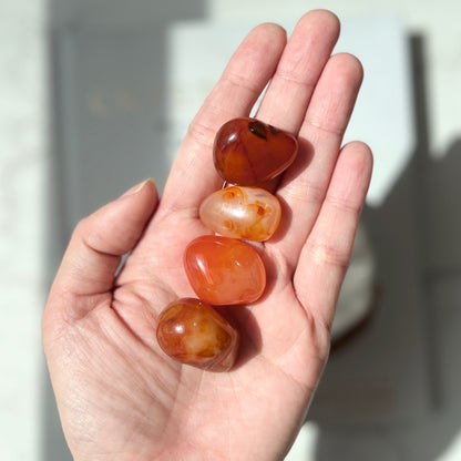 Carnelian Tumble Stone 2-3cm (CA-TS02)