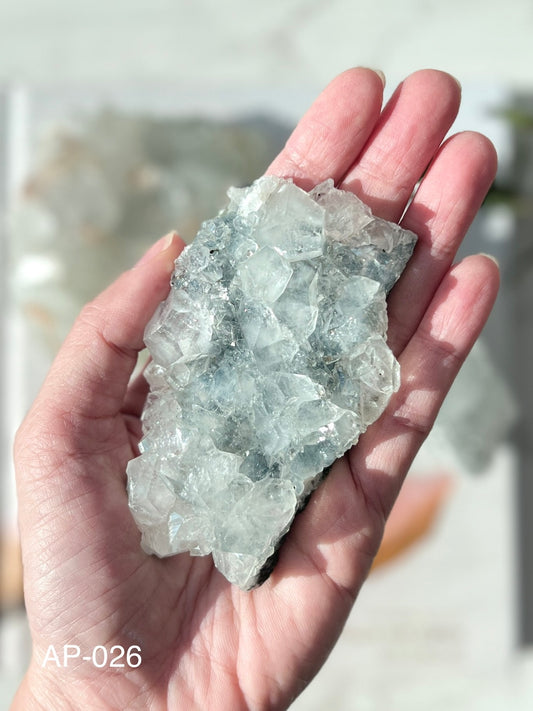 Apophyllite Cluster (AP-026)