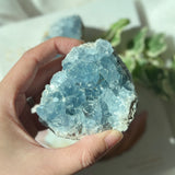 Celestite Cluster