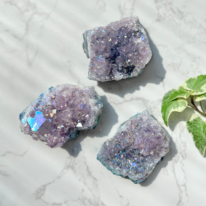 Amethyst Aura Cluster 紫晶天使光晶簇