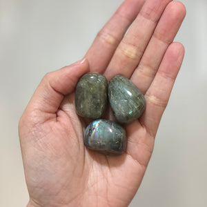 Labradorite Tumble 2-3cm (LAB-TS02)