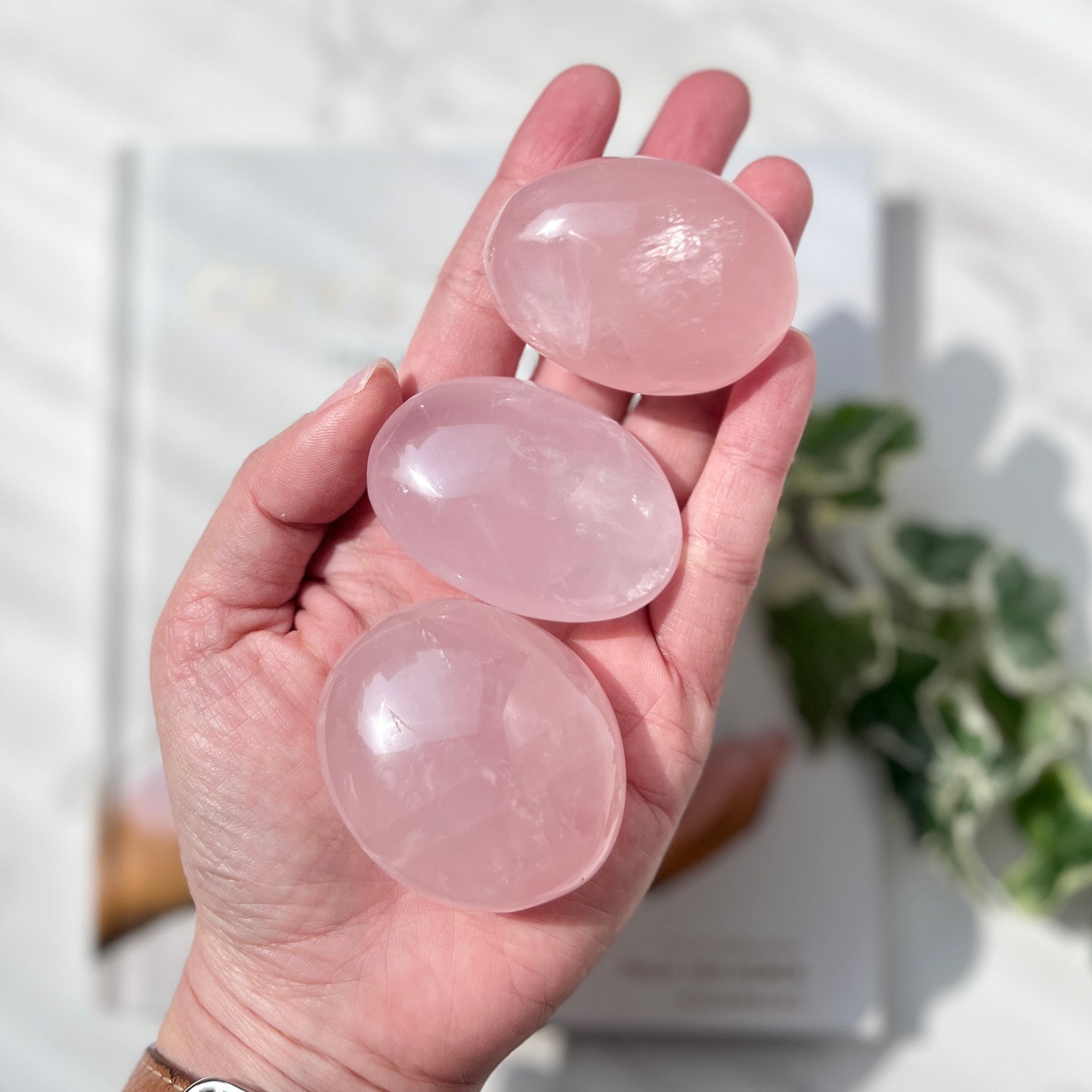 Rose Quartz Palm Stone 粉晶