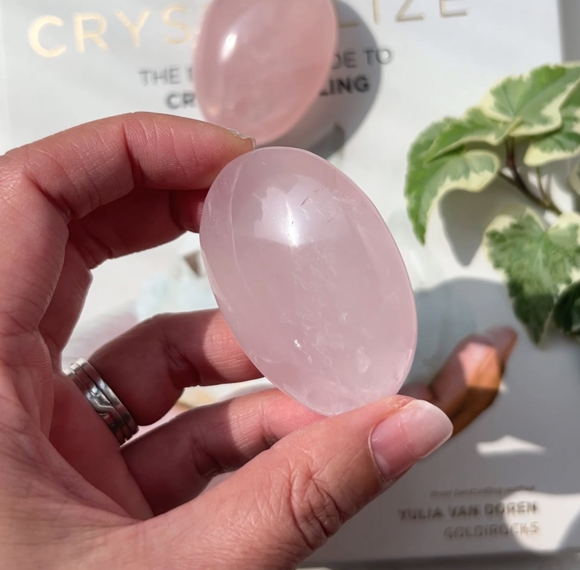 Rose Quartz Palm Stone 粉晶