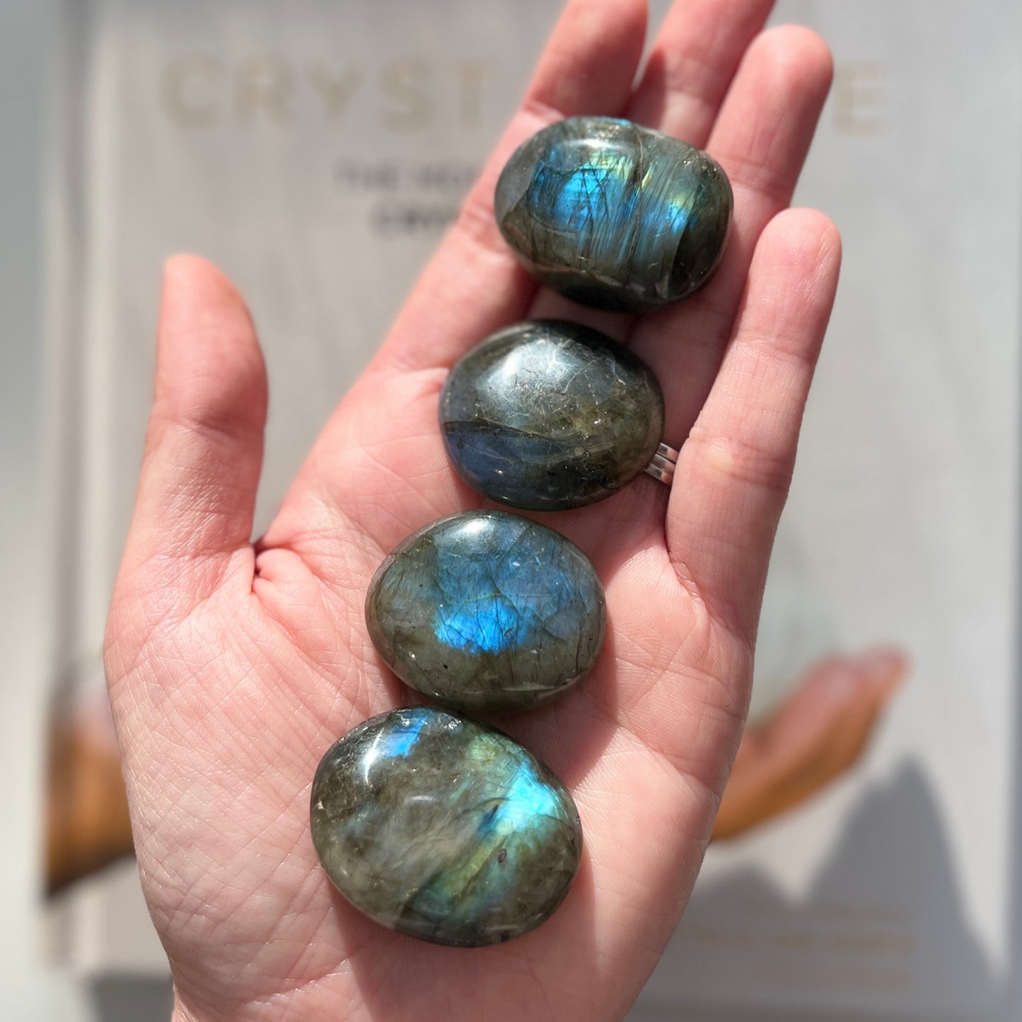 Labradorite Palm Stone (LAB-PS01B)