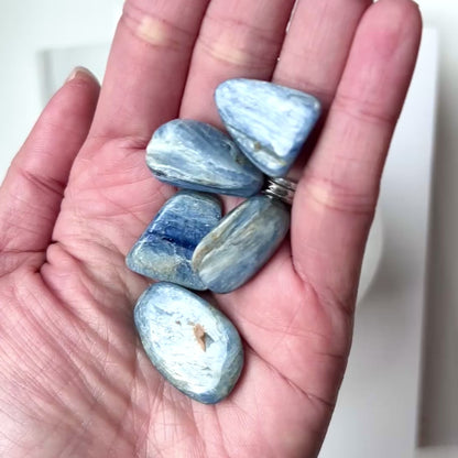 Kyanite Tumble Stone 2-3cm 藍晶石