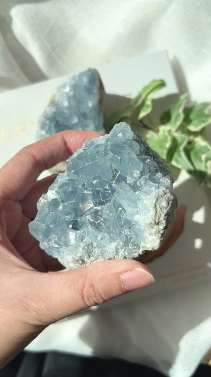 Celestite Cluster