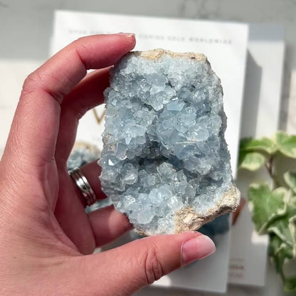 Celestite Cluster 天青石