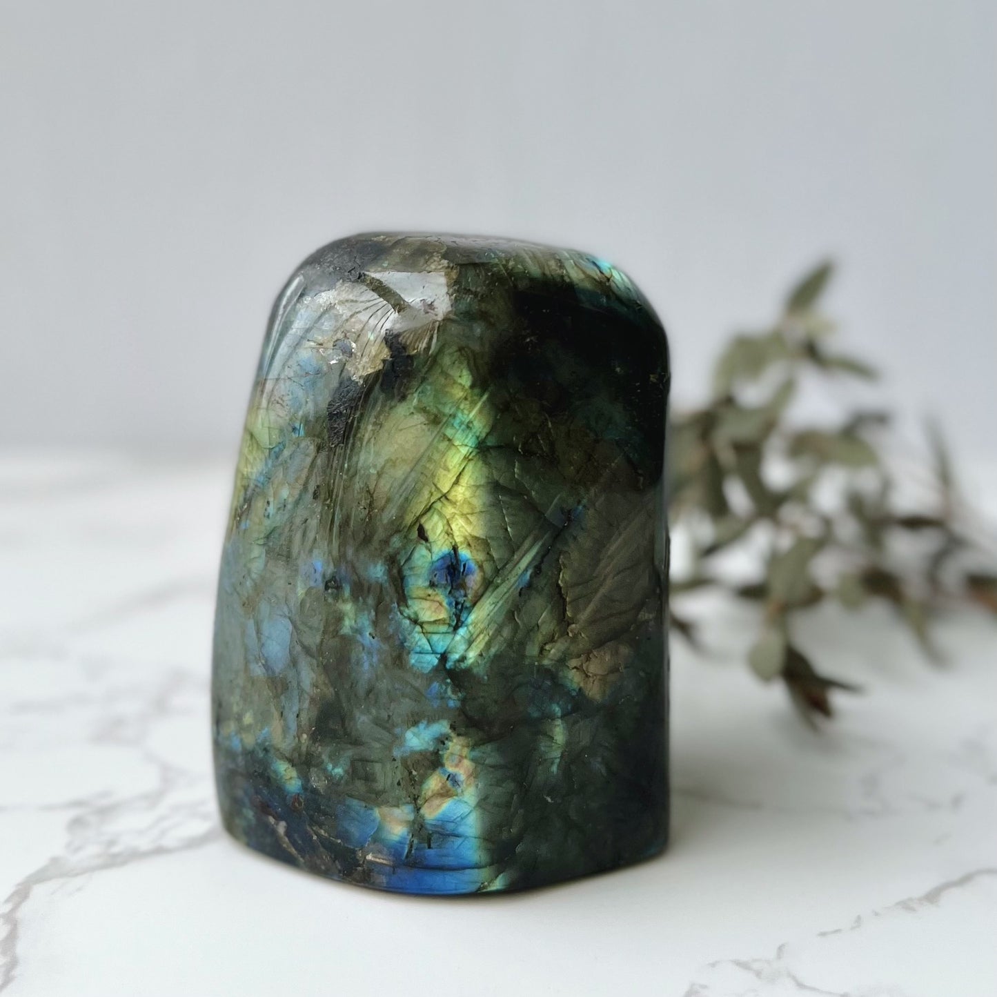 Labradorite Freeform (LAB-005)