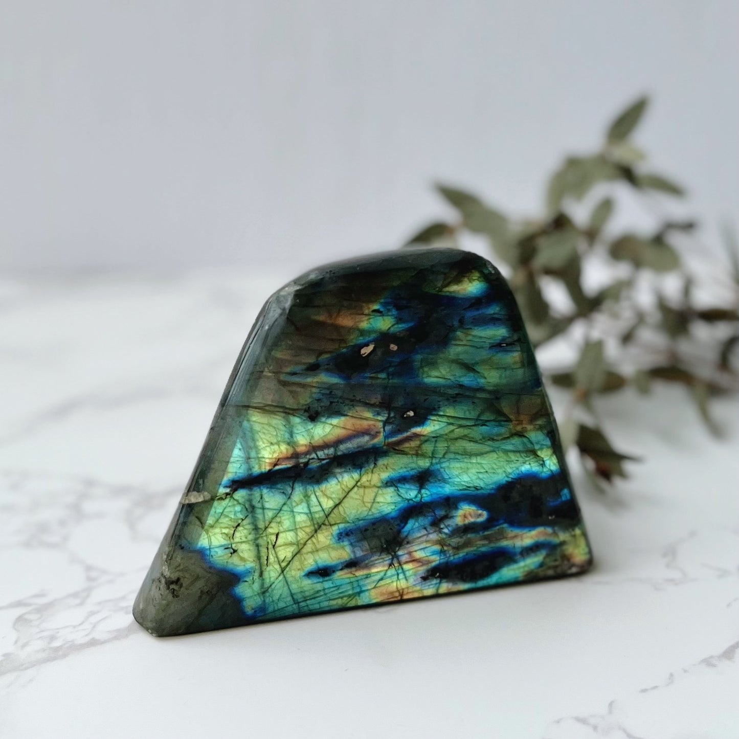 Labradorite Freeform (LAB-006)