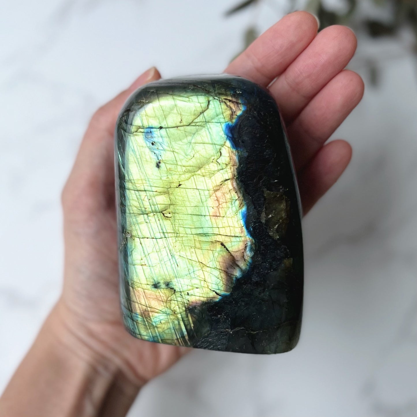 Labradorite Freeform (LAB-005)