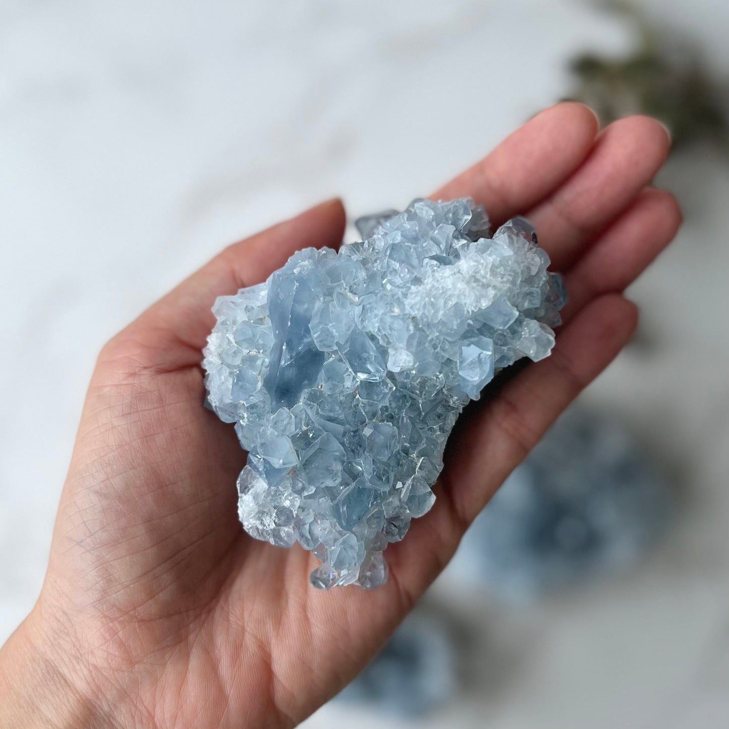 Celestite Cluster (CE-006)