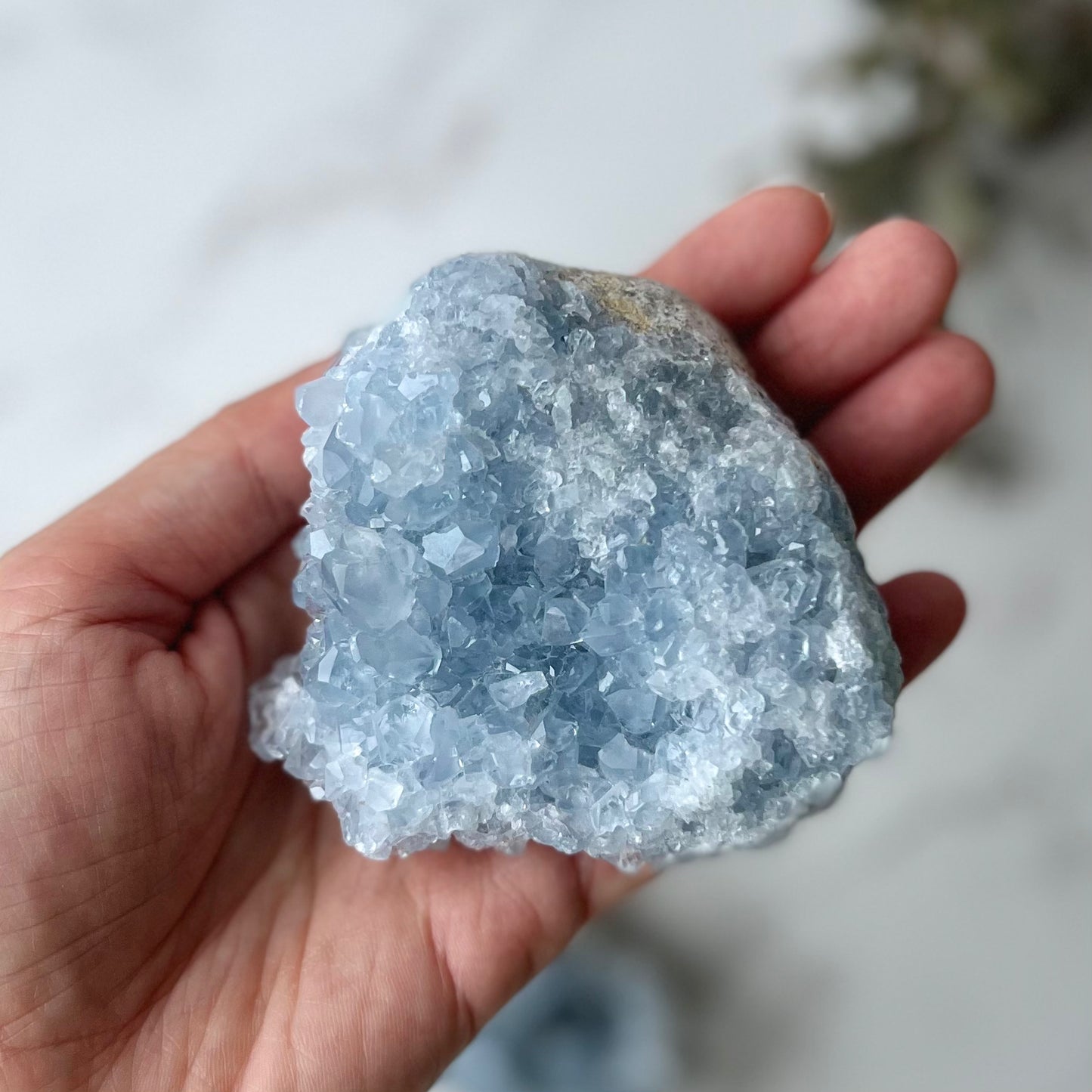 Celestite Cluster (CE-005)